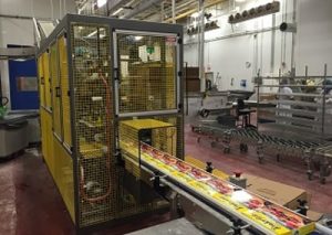 up stacker case packing machine