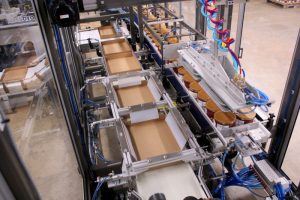 modular pick and place case packer