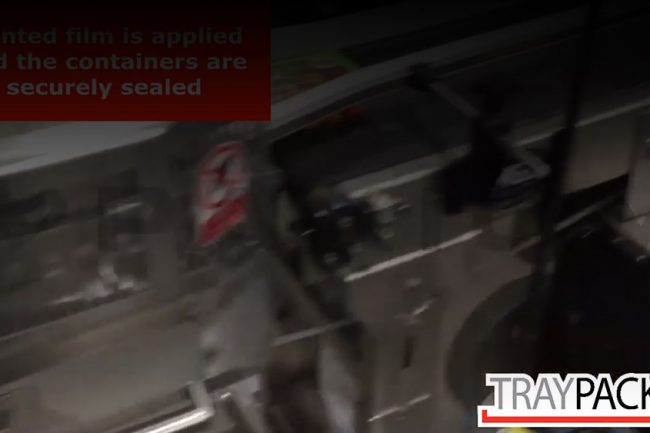 Complete System for Produce Tray Packing with Pick and Place