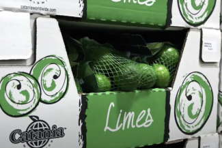 Tray forming machine