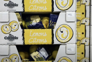 Tray forming machine