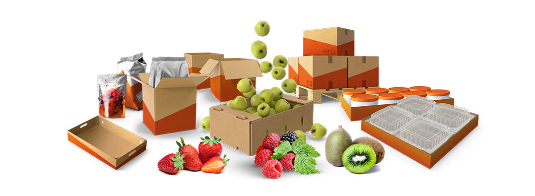 fruit packaging machines