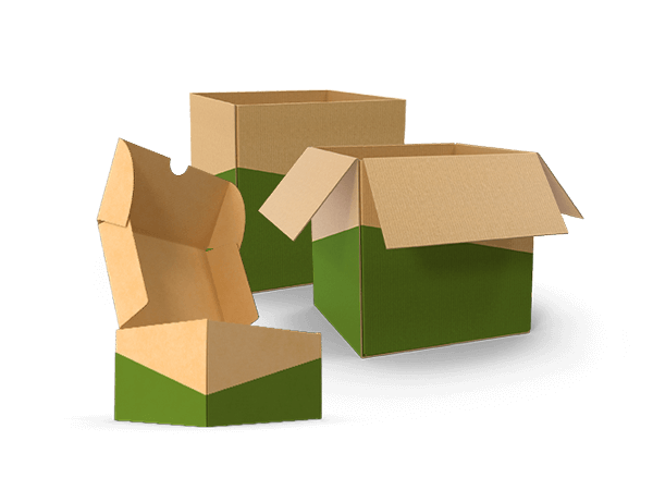 Case and Tray forming examples