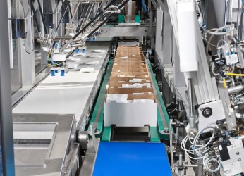 robotic case packer