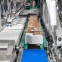 robotic case packer