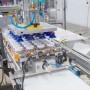 robotic case packer