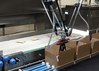 robotic pick & place case packing