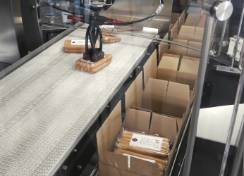 robotic pick & place case packing