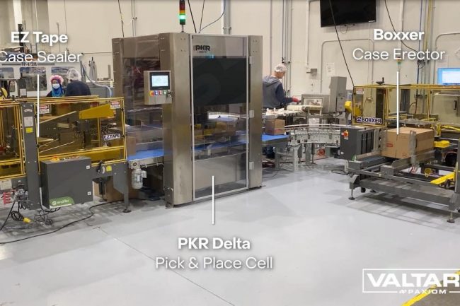 EndFlex Case Packing System with PKR Delta Robot for Bags
