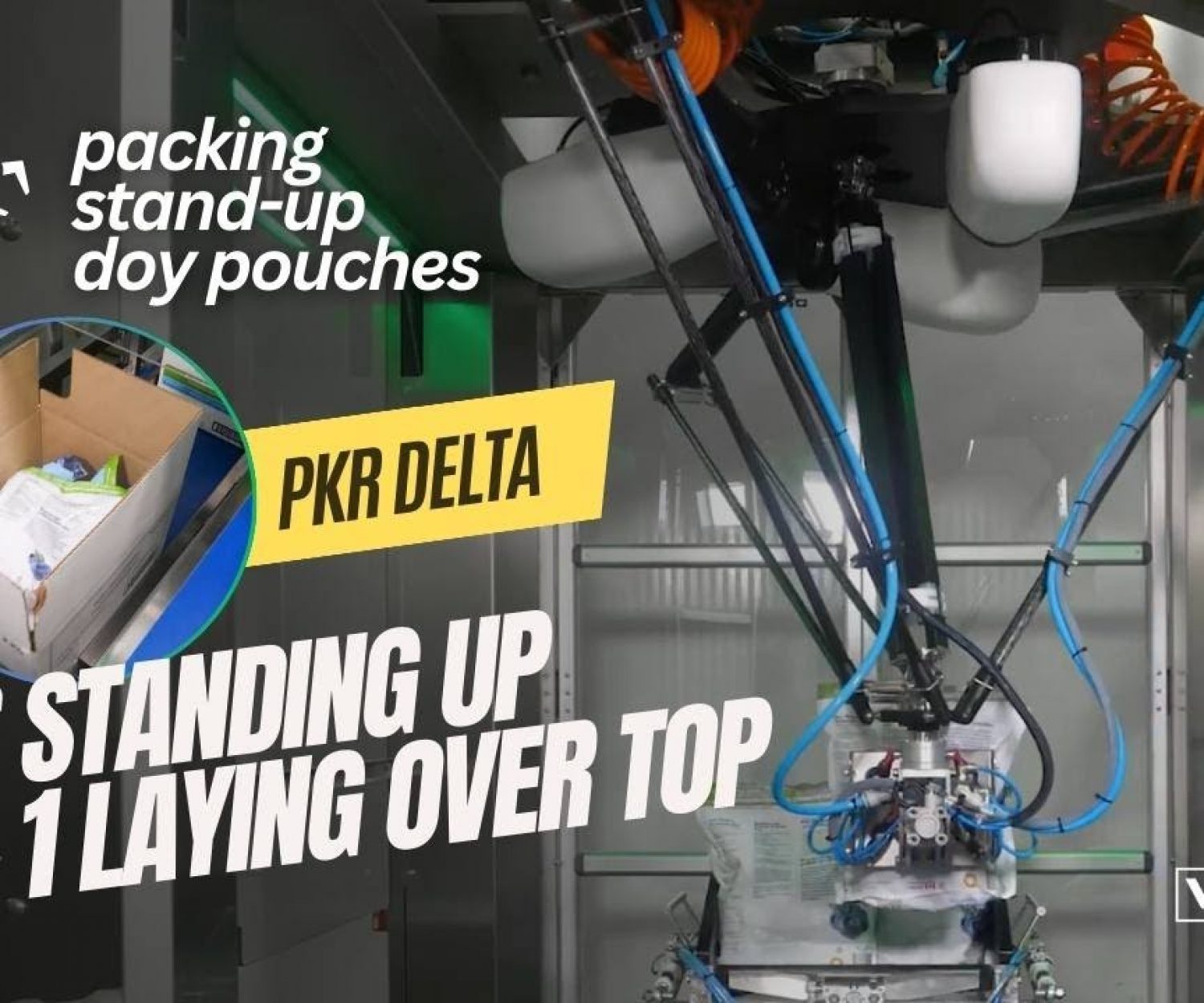 Vision Guided PKR Delta Robot Case Packer for Stand Up Doy Pouches into Boxes