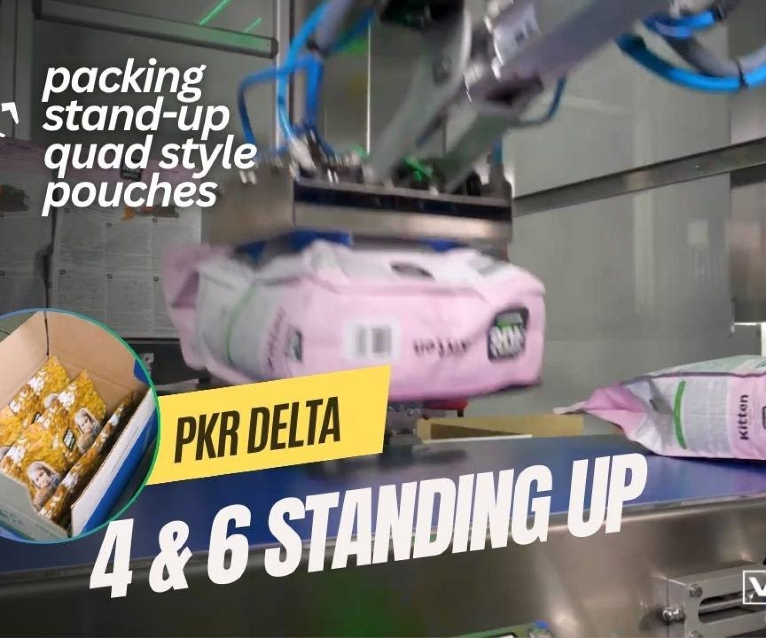 PKR Delta Robot Cell Packing Stand Up Quad style Pouches into Cases
