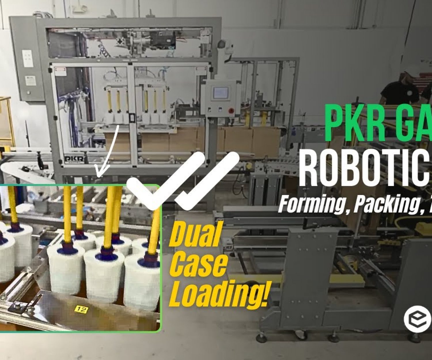 EndFlex PKR Gantry Robotic Top Load Case Packing System for Tubs