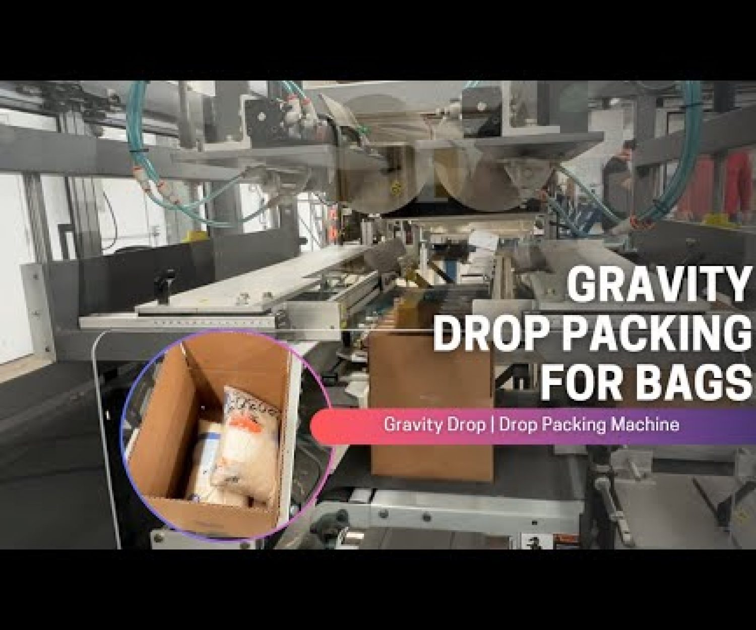 Gravity Drop Packing Machine for bags
