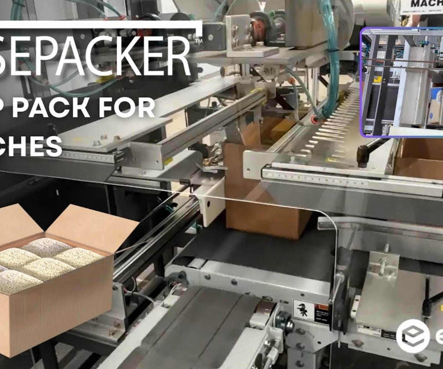 EndFlex automatic drop packer for case packing flexible bags